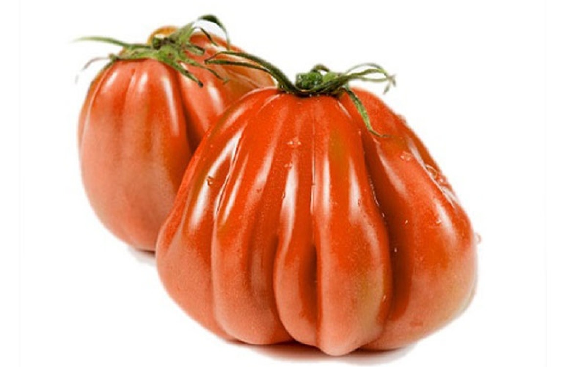 Pomidorai „Jaučio širdis"